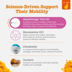 Zesty Paws Hip & Joint Glucosomine Mobility Bites Chicken Flavored Soft Chew Supplement for Cats, 60 count slide 2 of 7