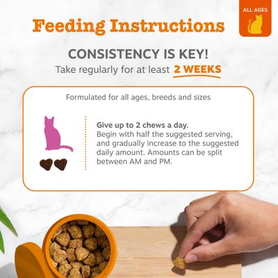 Show full view: Zesty Paws Hip & Joint Glucosomine Mobility Bites Chicken Flavored Soft Chew Supplement for Cats, 60 count slide 5 of 9