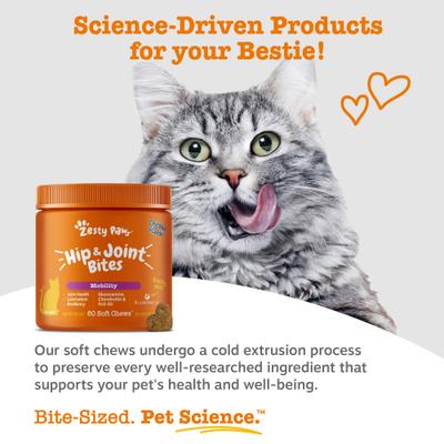 Show full view: Zesty Paws Hip & Joint Glucosomine Mobility Bites Chicken Flavored Soft Chew Supplement for Cats, 60 count slide 6 of 9