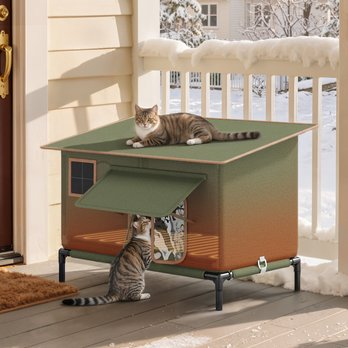 Cold Weather Outdoor Cat Breeds Cat Houses: Indoor Outdoor Cat