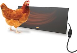 Cozy Products Chicken Coop Heating Panel, Small, each