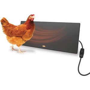 Cozy Products Chicken Coop Heating Panel, Small, each
