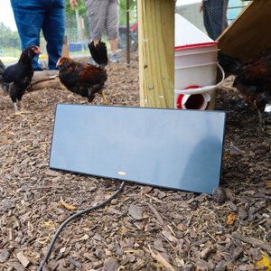 Cozy Products Chicken Coop Heating Panel, Small