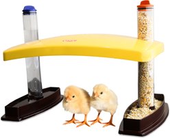 Cozy Products Cozy Chick Brooder Habitat, Small, each
