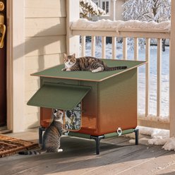 Yitahome Winter Waterproof Nylon Outdoor Heated Cat House, Green, 16.5 x 13.8 x 18.9-in