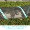 Show in main carousel: Kitty City Outdoor Cat Play Tunnel, Teal, 10-ft slide 5 of 9