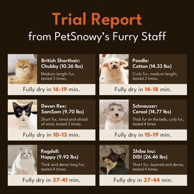 Show full view: PetSnowy Smile Pet Dryer Box, Cream, Large slide 3 of 10