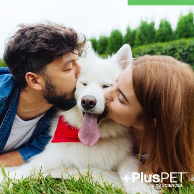 Show full view: +PlusPET Broad Spectrum Hemp Extract Mint Flavored Soft Chew Oral Health Supplement for Dogs, 30 count slide 7 of 9