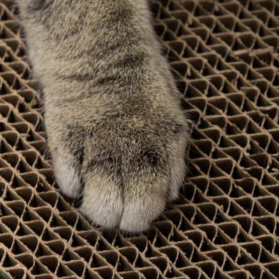 Show full view: Kitty City Ball Track Cat Scatcher, Tan slide 3 of 8