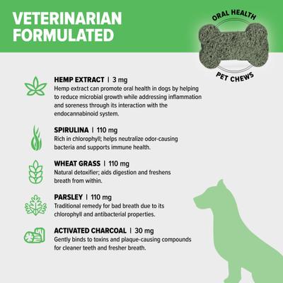 Show full view: +PlusPET Broad Spectrum Hemp Extract Mint Flavored Soft Chew Oral Health Supplement for Dogs, 30 count slide 4 of 9