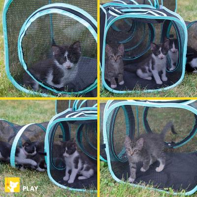 Show full view: Kitty City Outdoor Two Way Play Cat Tunnel slide 5 of 10