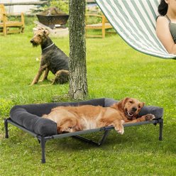 BingoPaw Outdoor Summer Elevated Detachable Plush Bolster Dog Bed with Removable Cover, Grey, X-Large