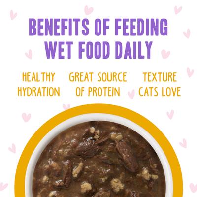 Show full view: BFF OMG Text Me! Chicken & Turkey in Gravy Wet Cat Food Pouches, 2.8-oz pouch, 12 count slide 7 of 13