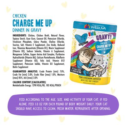 Show full view: BFF OMG Charge Me Up! Chicken in Gravy Wet Cat Food, 2.8-oz pouch, 12 count slide 6 of 13