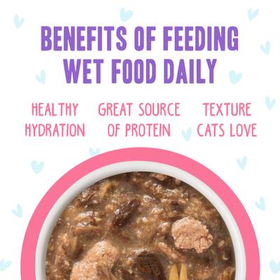 Show full view: BFF OMG Date Nite! Duck & Salmon Dinner in Gravy Grain-Free Cat Food Pouches, 2.8-oz, pack of 12 slide 7 of 13