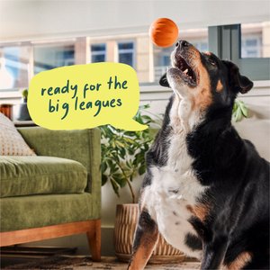 Woof Flyball Fetch Ball & Fits Standard Launchers Interactive Dog Toy, Lavender, 1 count