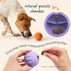 Woof Flyball Fetch Ball & Fits Standard Launchers Interactive Dog Toy, Lavender/Orange/Yellow, 3 count slide 2 of 8