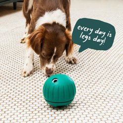 Woof Walkabout Dog Puzzle Toy & Slow-Feeder Kibble Dispenser, Green, Small slide 2 of 9