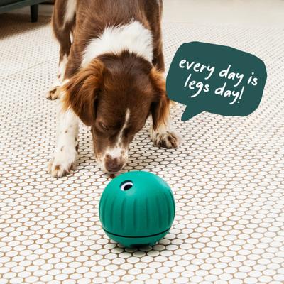 Show full view: Woof Walkabout Dog Puzzle Toy & Slow-Feeder Kibble Dispenser, Green, Large slide 9 of 10