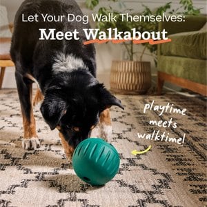Woof Walkabout Dog Puzzle Toy & Slow-Feeder Kibble Dispenser, Green, Large