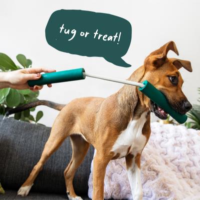 Show full view: Woof Nomchucks Dog Game Puzzle Enrichment Treat & Tug Toy, Green slide 8 of 9