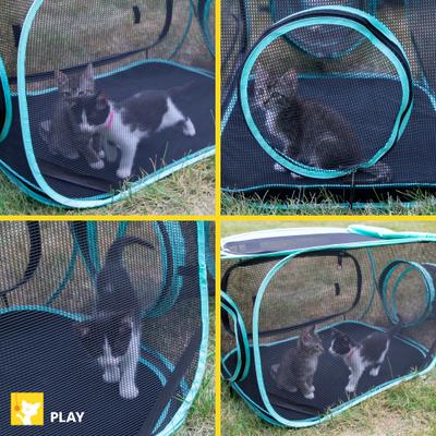 Show full view: Kitty City Outdoor Kennel Catio Cat Furniture & Play Kit slide 4 of 10