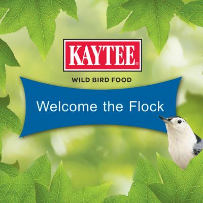 Show full view: Kaytee Gourmet Wild Bird Seed Cake, 2-lb, 4 count slide 6 of 8