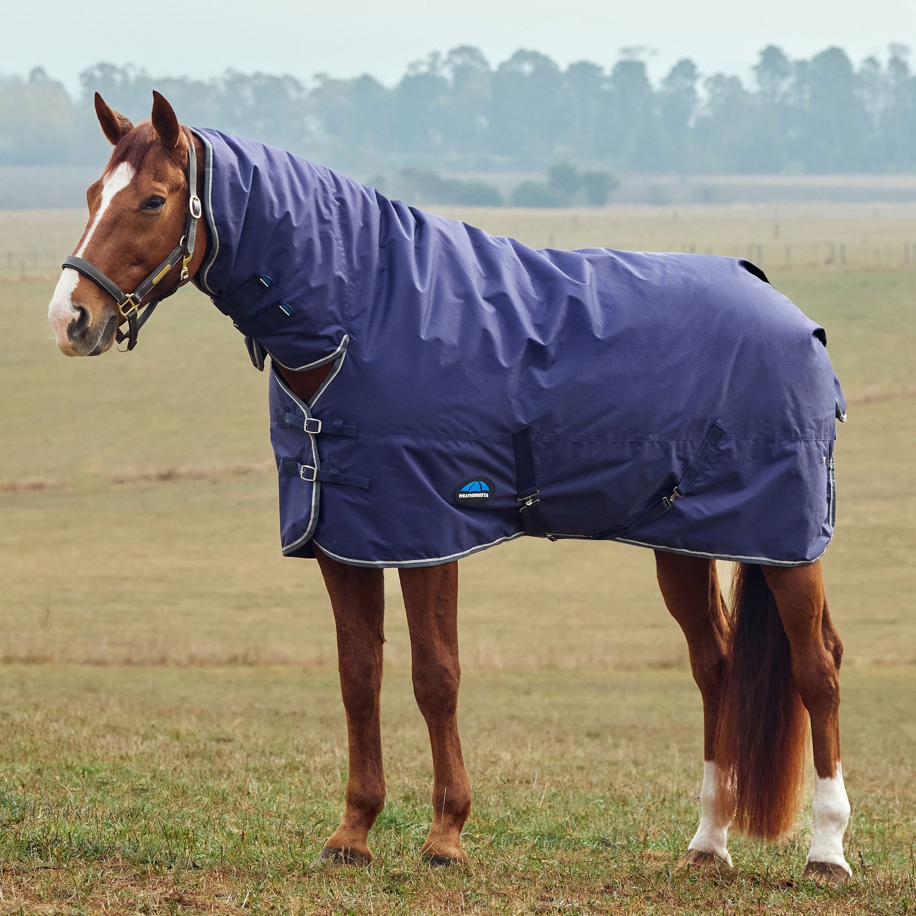 WeatherBeeta ComFiTec Tyro Combo Neck 220G Horse Turnout, Navy/Charcoal, 72-in
