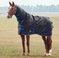 WeatherBeeta ComFiTec Tyro Combo Neck 220G Horse Turnout, Black/Cobalt, 75-in