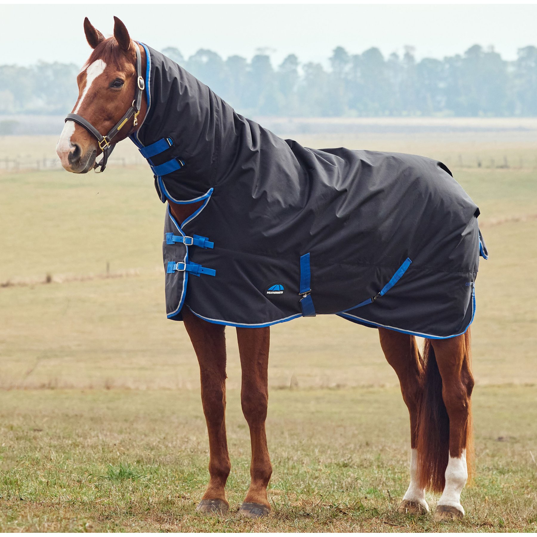 WeatherBeeta ComFiTec Tyro Combo Neck 220G Horse Turnout, Black/Cobalt, 69-in