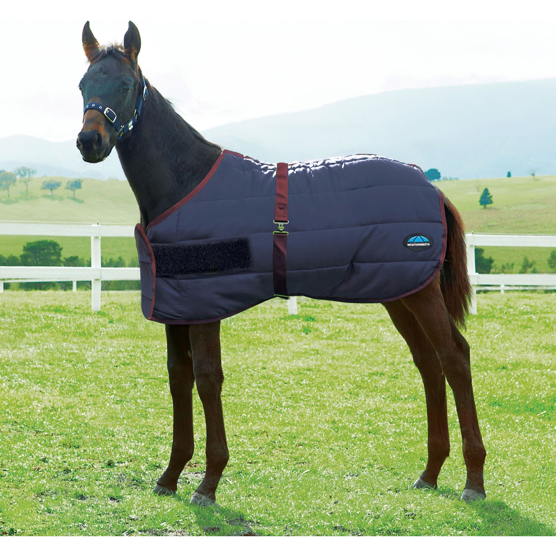 WeatherBeeta 420D Foal Standard Neck Horse Turnout, Navy/Burgundy, 42-in to 57-in