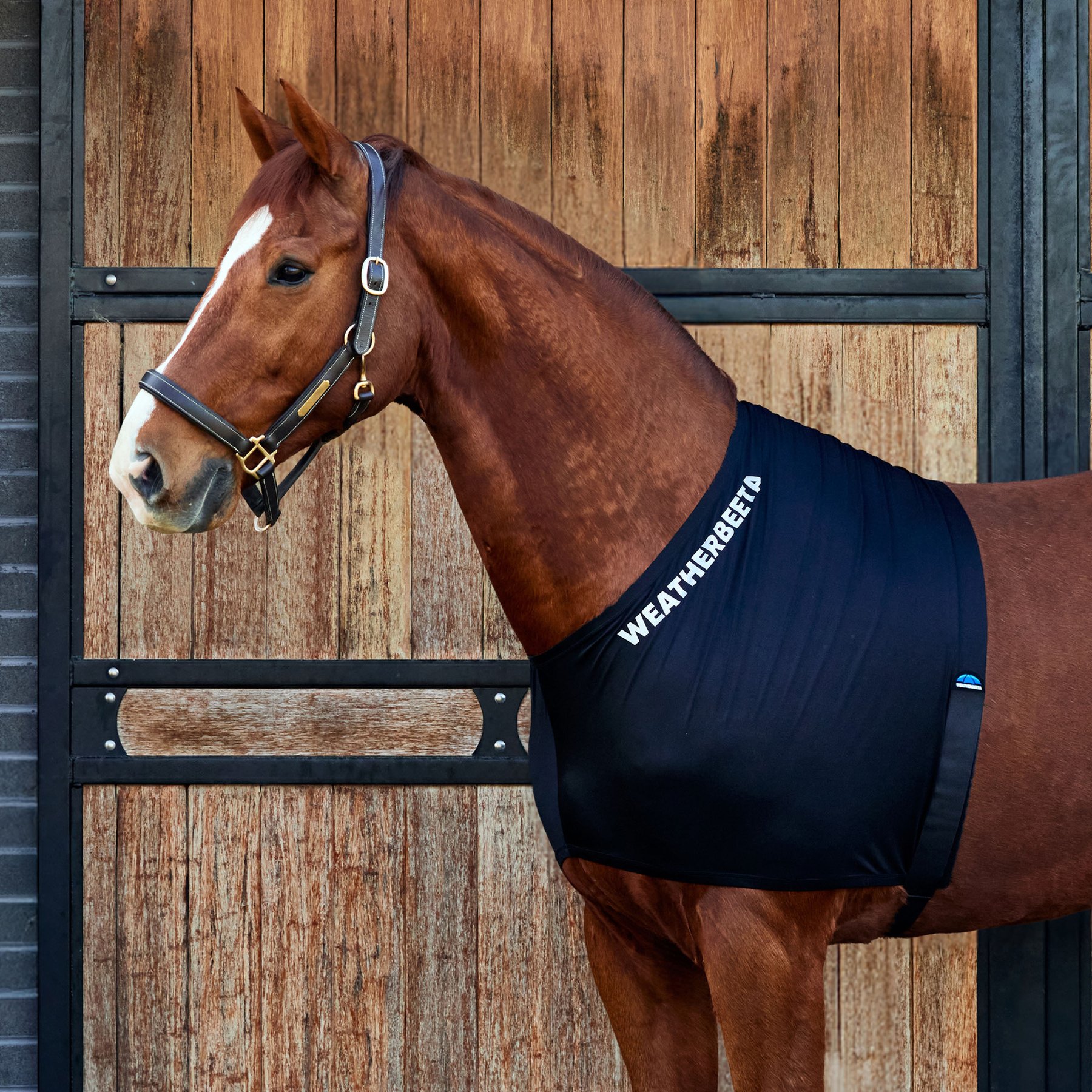 WeatherBeeta Stretch Horse Shoulder Guard, Black, Cob
