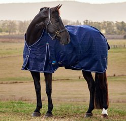 WeatherBeeta ComFiTec Prelim Standard Neck 0G Horse Turnout, Navy Embossed Plaid, 69-in