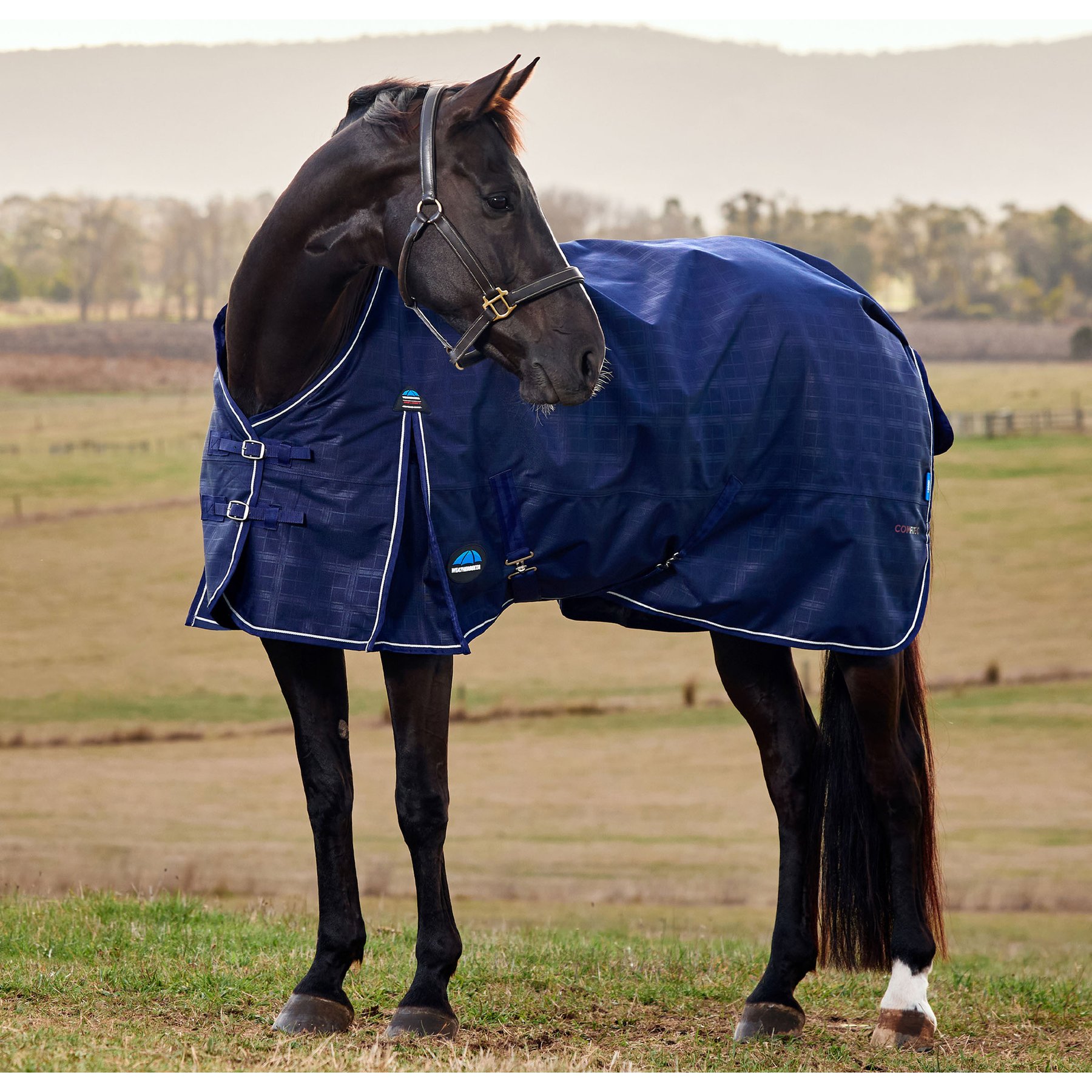 WeatherBeeta ComFiTec Prelim Standard Neck 360G Horse Turnout, Navy Embossed Plaid, 51-in