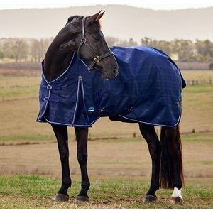 WeatherBeeta ComFiTec Prelim Standard Neck 0G Horse Turnout, Navy Embossed Plaid, 69-in