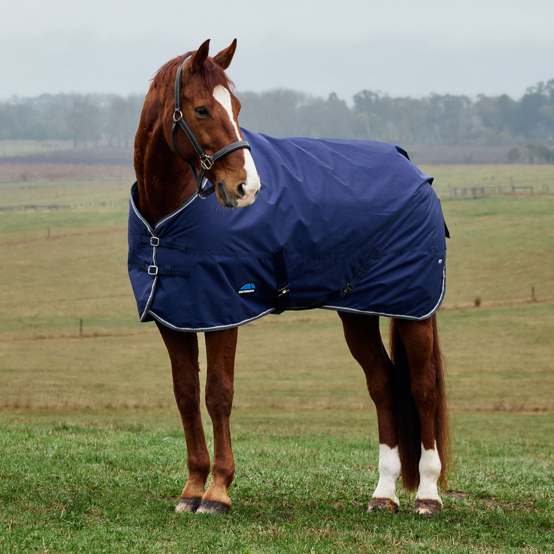 WeatherBeeta ComFiTec Tyro Standard Neck 220G Horse Turnout, Navy/Charcoal, 84-in