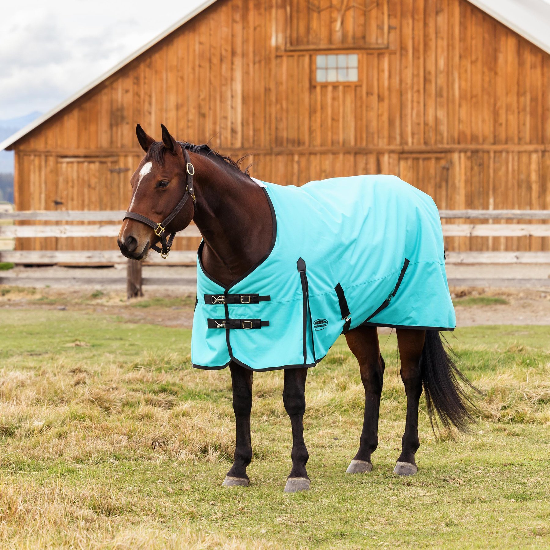 WeatherBeeta ComFiTec Original Standard Neck Horse Turnout, Turquoise/Black, 69-in