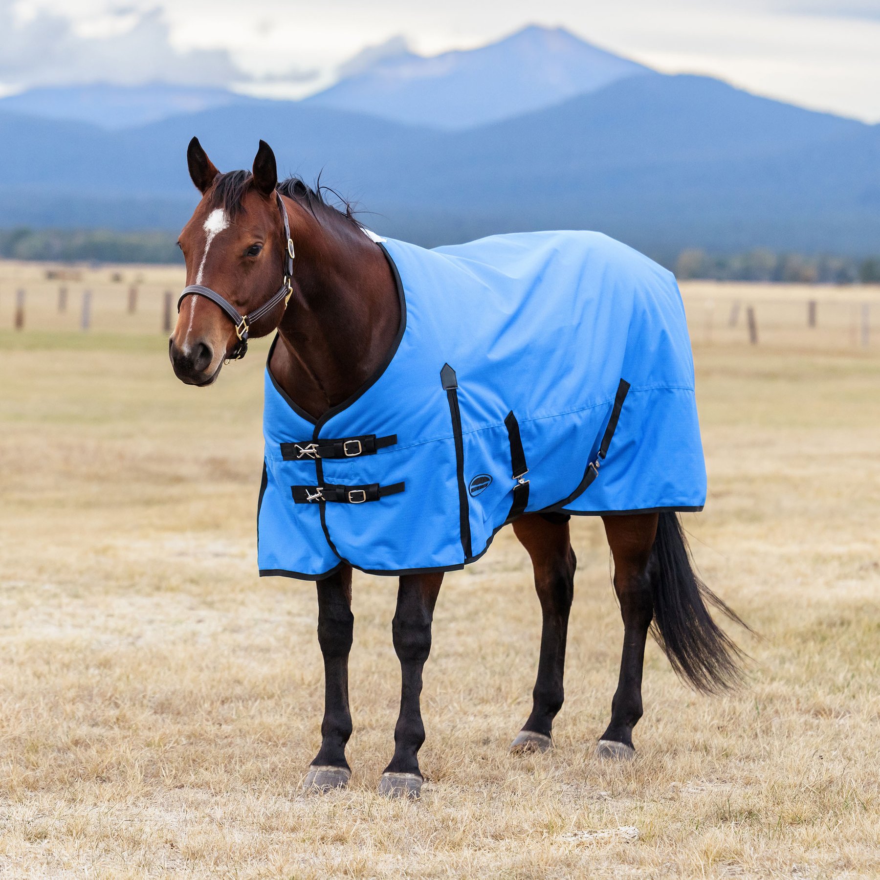 WeatherBeeta ComFiTec Original Standard Neck Horse Turnout, Royal Blue/Black, 72-in