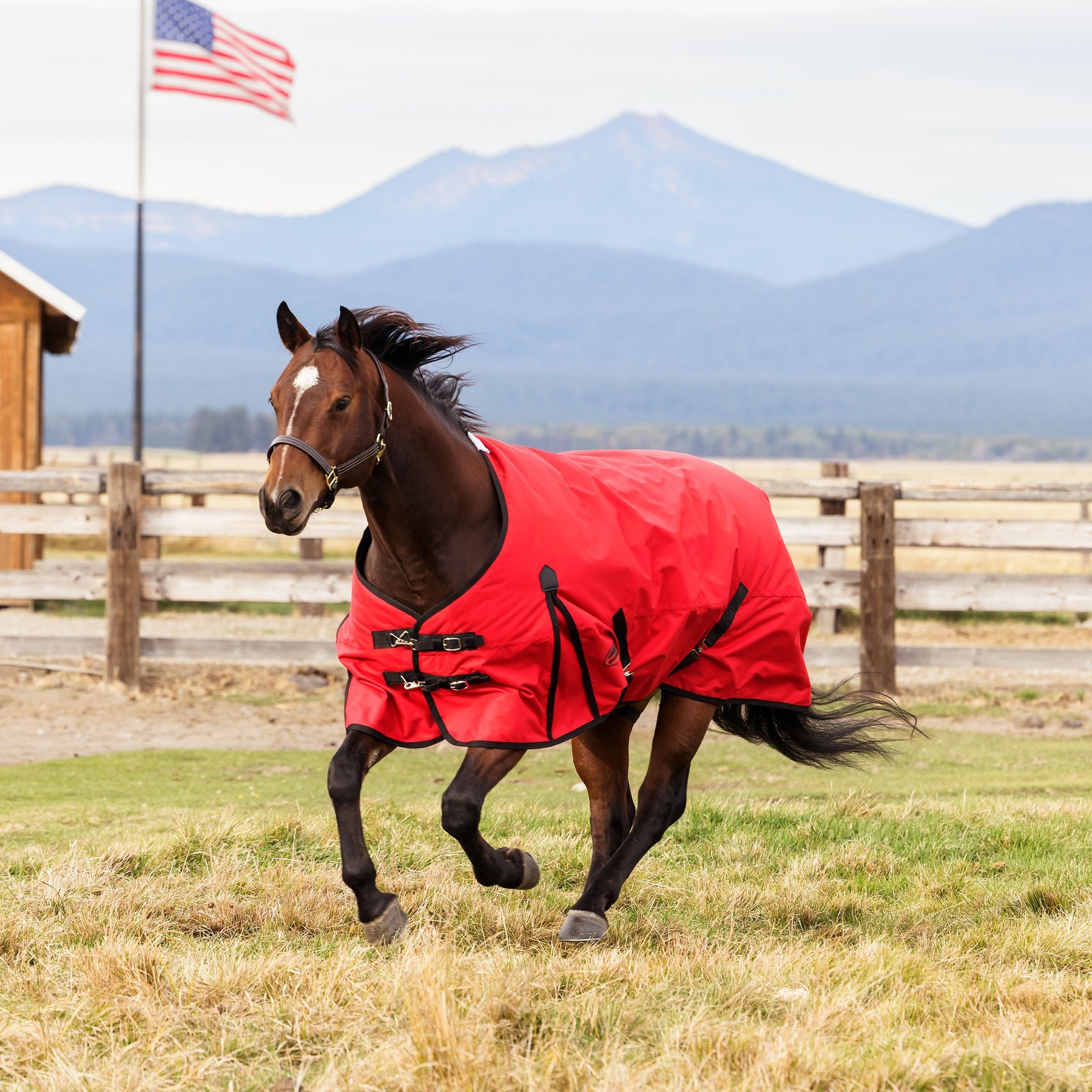 WeatherBeeta ComFiTec Original Standard Neck Lite Horse Turnout, Red/Black, 72-in