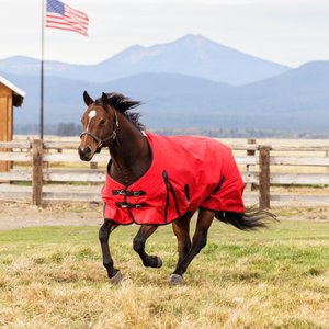 WeatherBeeta ComFiTec Original Standard Neck Lite Horse Turnout, Red/Black, 75-in