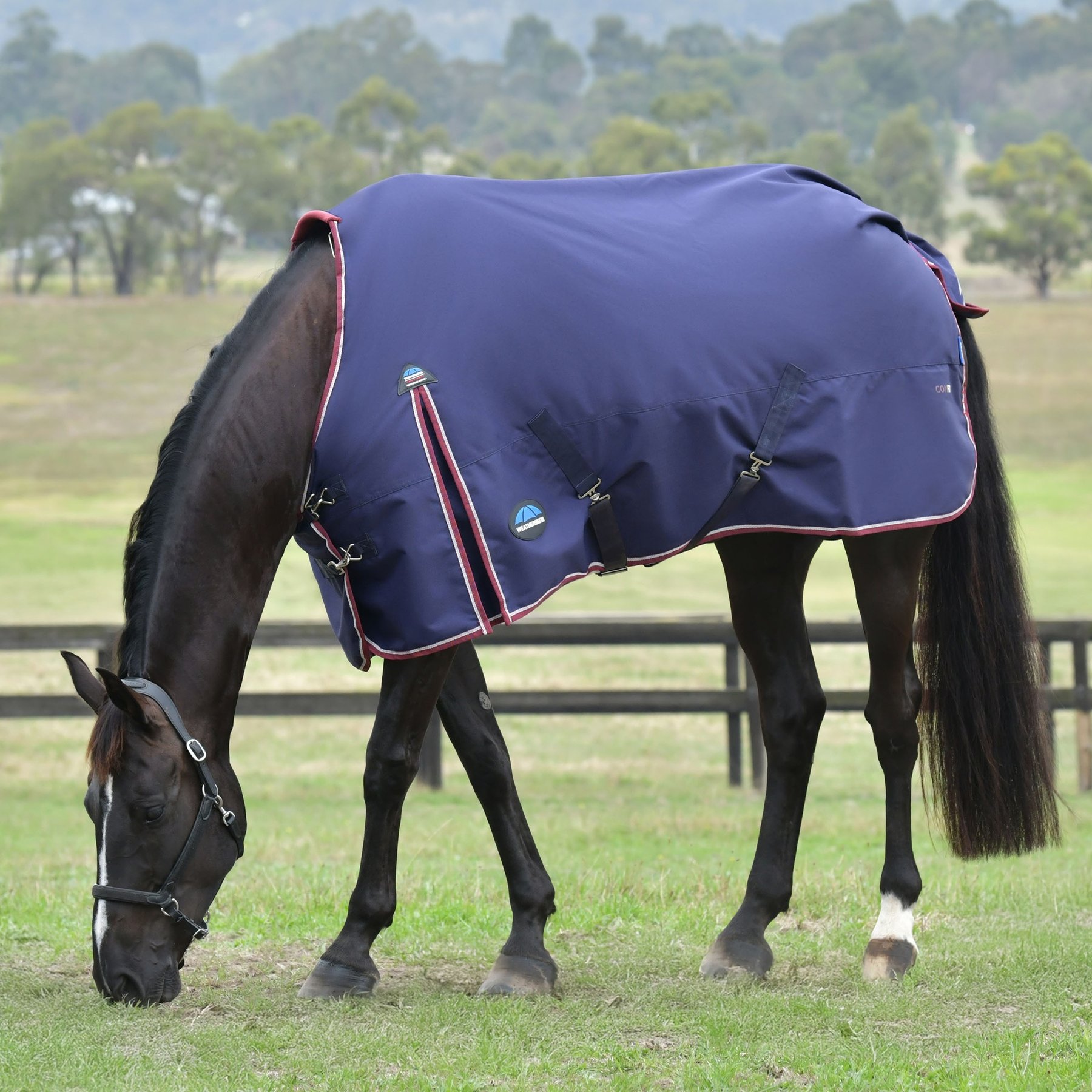 WeatherBeeta ComFiTec Essential Standard Neck 100G Horse Turnout, Navy/Burgundy, 72-in