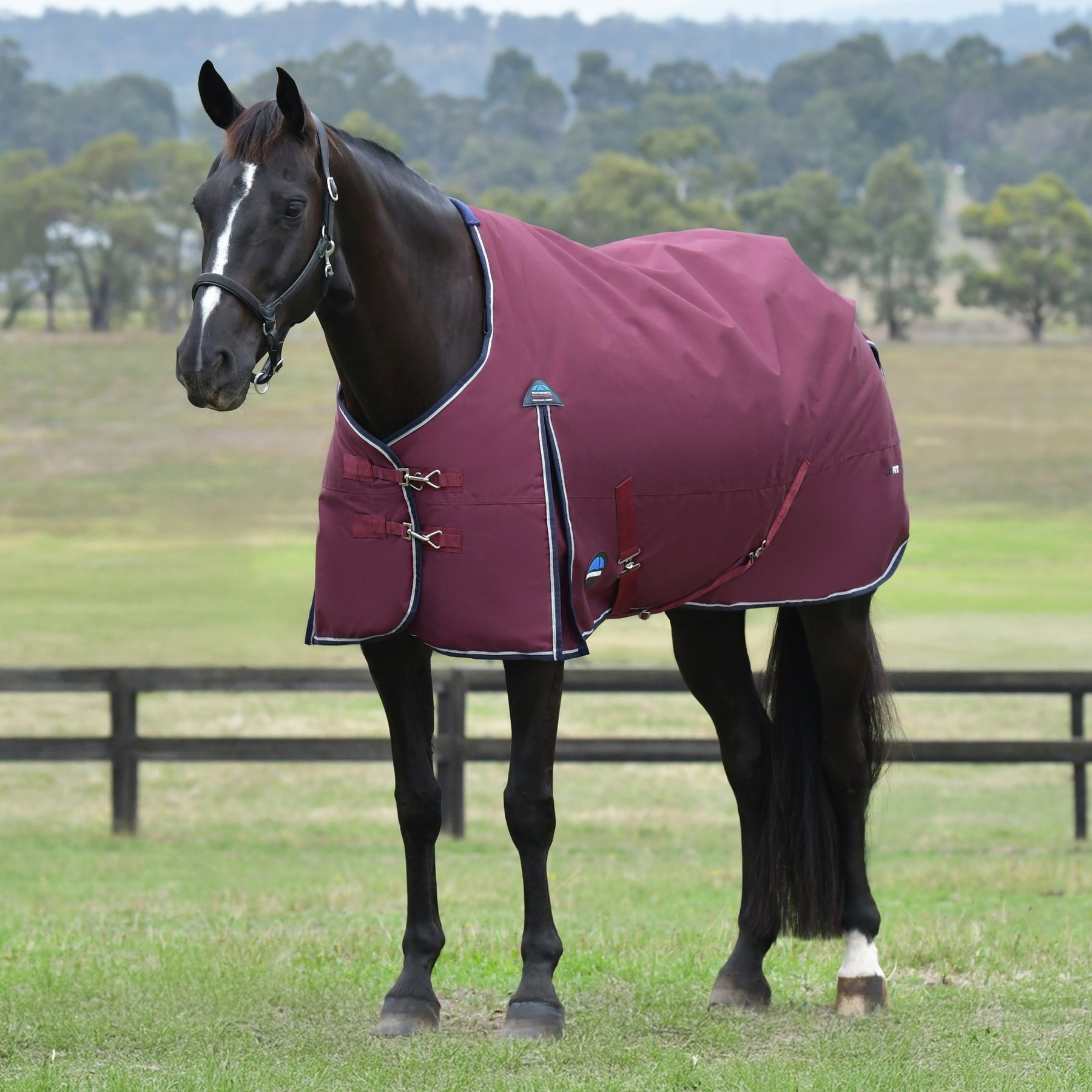 WeatherBeeta ComFiTec Essential Standard Neck 220G Horse Turnout, Burgundy/Navy, 69-in