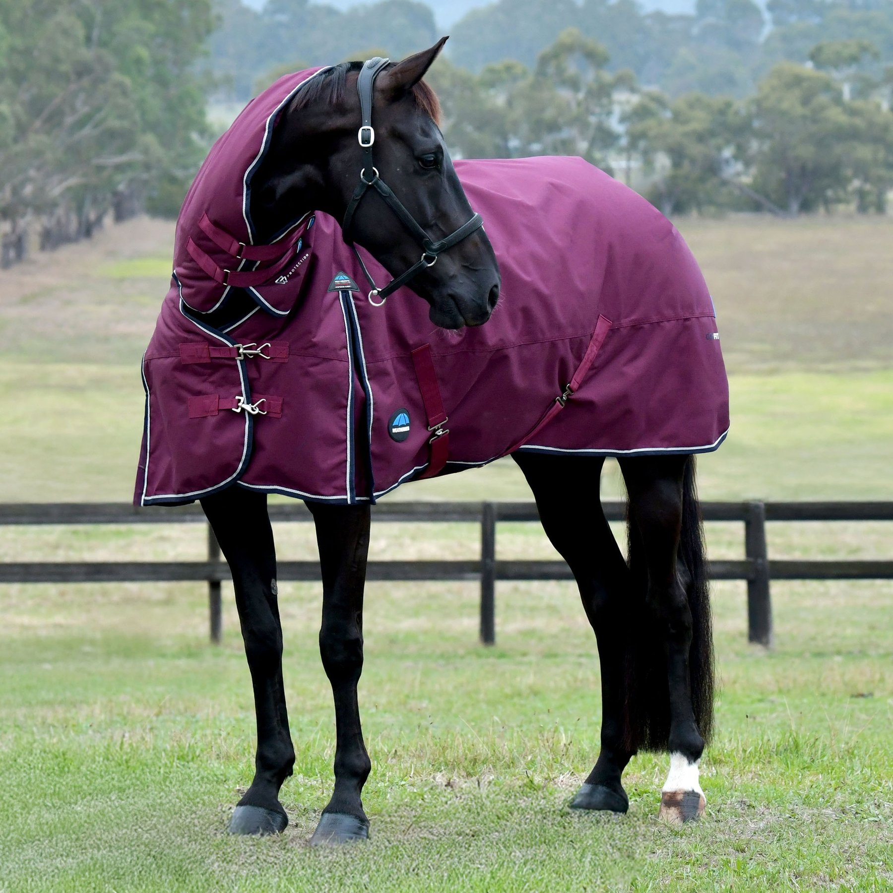 WeatherBeeta ComFiTec Essential Combo Neck 360G Horse Turnout, Burgundy/Navy, 60-in