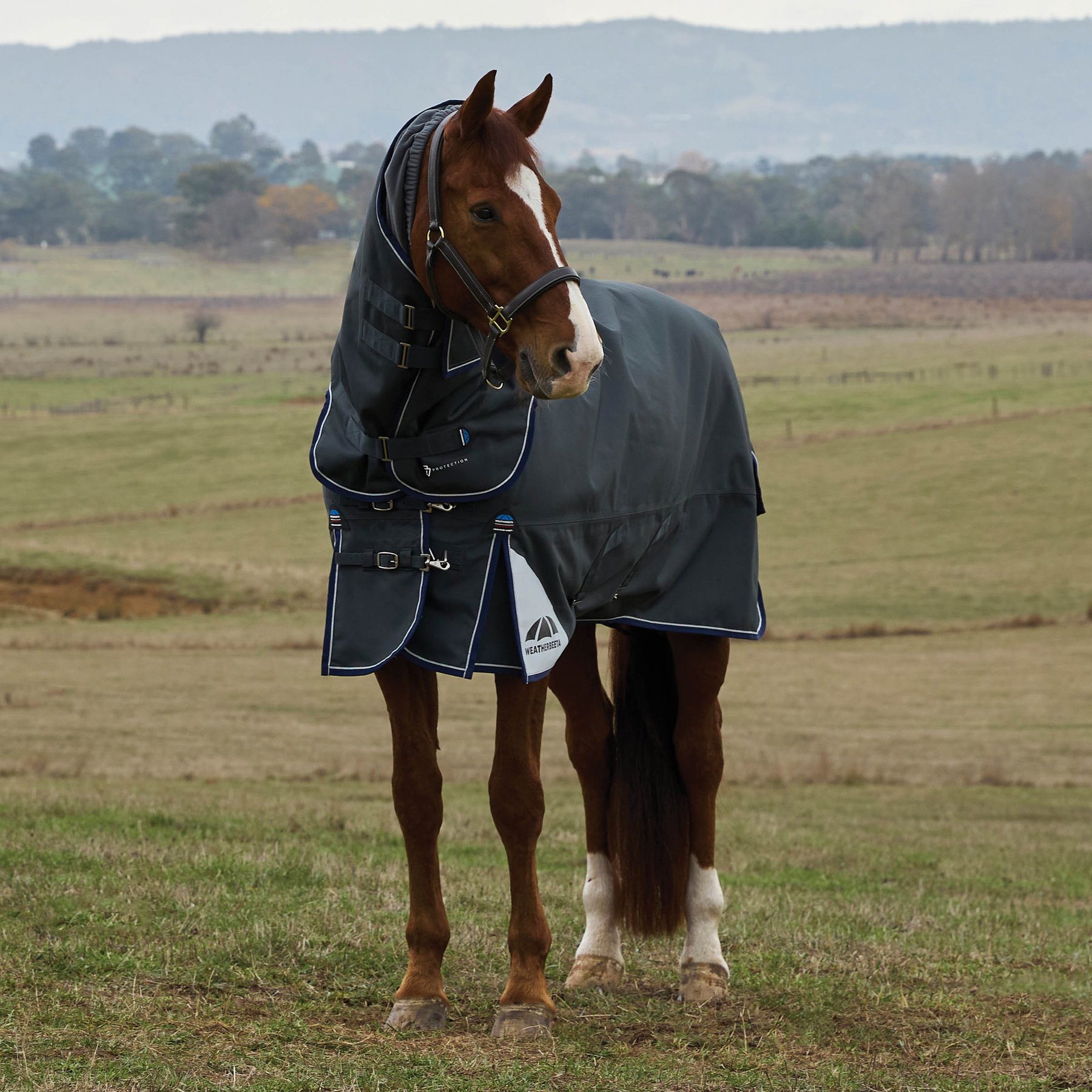 WeatherBeeta ComFiTec Ultra Detach-A-Neck 220G Horse Turnout, Charcoal, 84-in