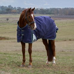 WeatherBeeta ComFiTec Plus Dynamic Standard Neck 100G Horse Turnout, Navy/Forest Green, 81-in