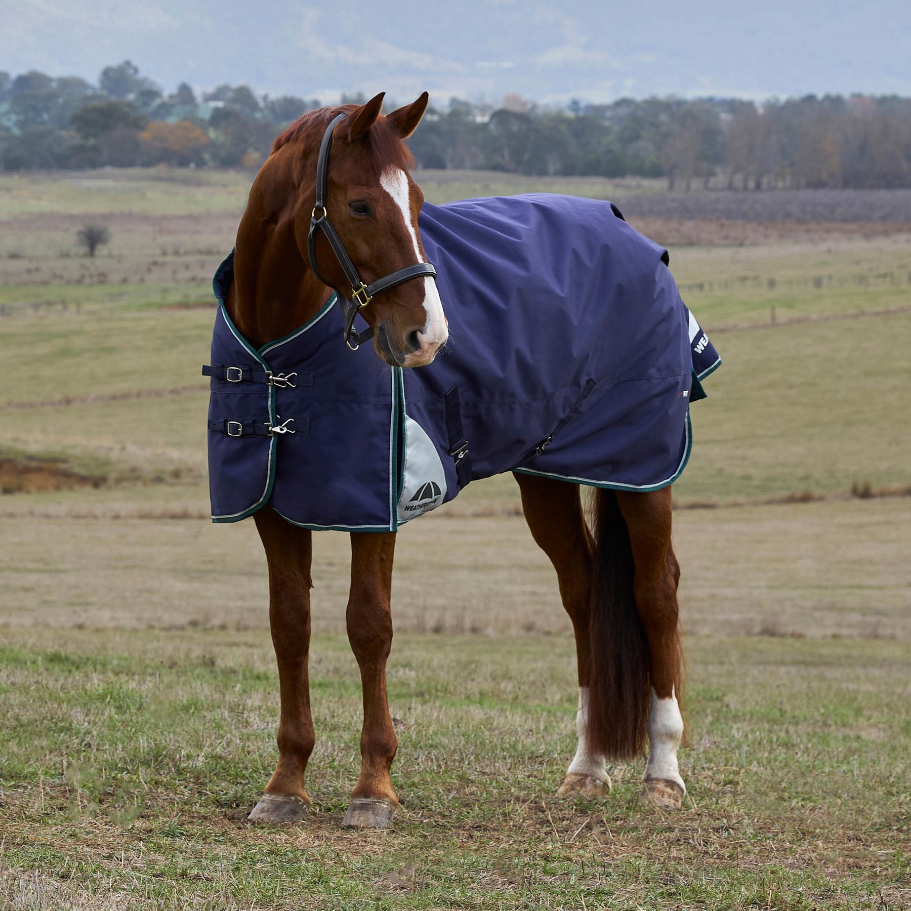 WeatherBeeta ComFiTec Plus Dynamic Standard Neck 0G Horse Turnout, Navy/Forest Green, 84-in