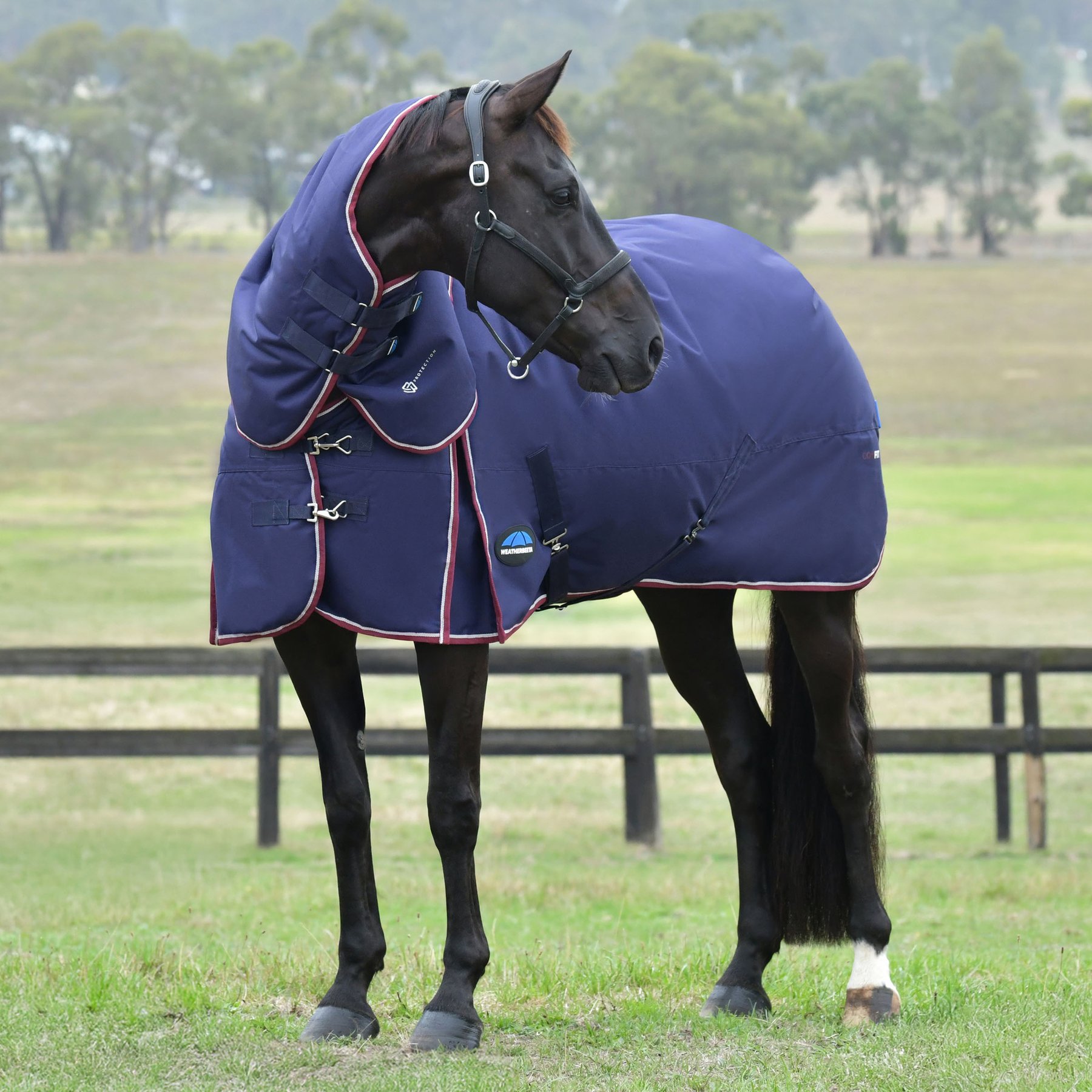 WeatherBeeta ComFiTec Essential Detach-A-Neck 220G Horse Turnout, Navy/Burgundy, 69-in