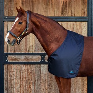 WeatherBeeta Satin Horse Shoulder Guard, Black, Full