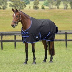 WeatherBeeta ComFiTec Tyro Standard Neck 220G Horse Turnout, Black/Cobalt, 69-in