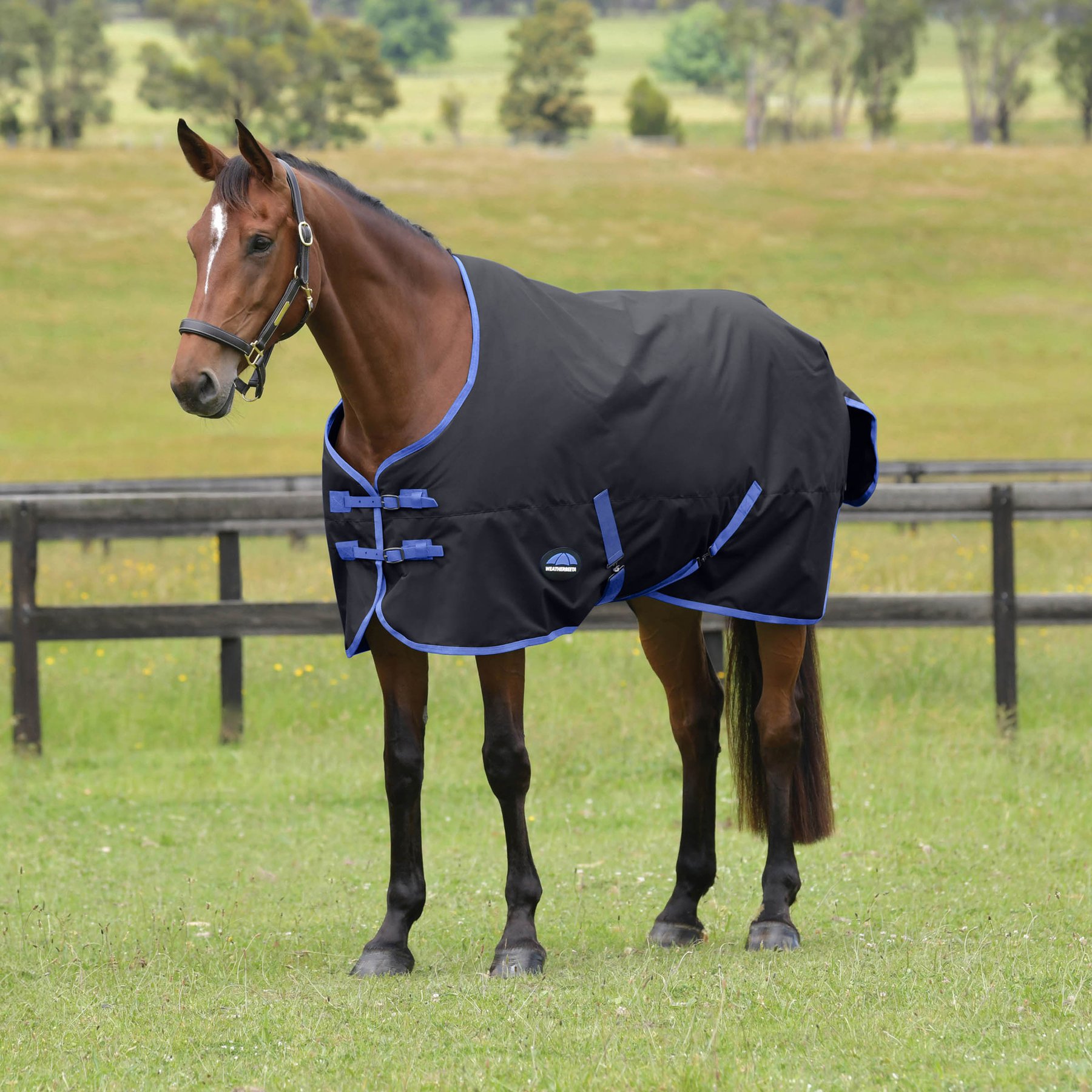 WeatherBeeta ComFiTec Tyro Standard Neck 220G Horse Turnout, Black/Cobalt, 84-in